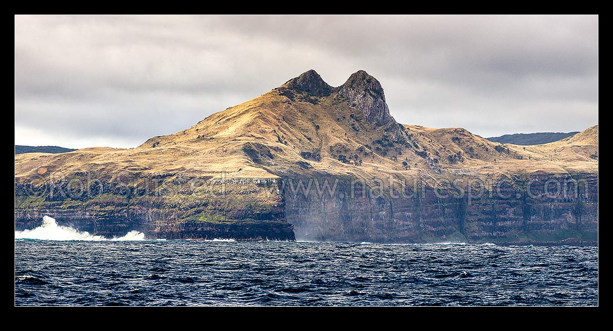 Image of The Horns, Te Whakahewa, prominent diorite columns prominent at Cape L'Eveque at southern end of Chatham Island, and 100m high seacliffs pounded by sea. Panorama, Chatham Islands Rekohu, Chatham Islands District, Chatham Islands Region, New Zealand (NZ) stock photo image