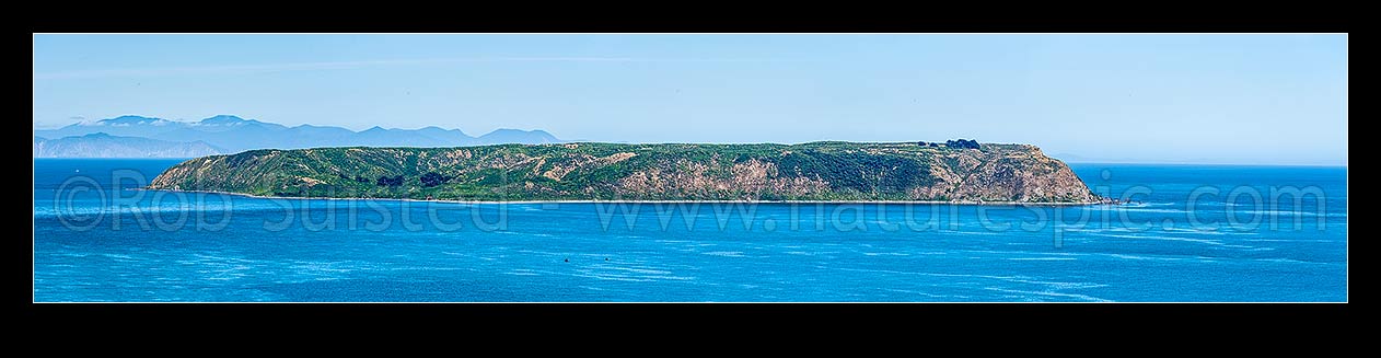 Image of Mana Island Panorama, seen from Titahi Bay Mt Whitireia. South Point left, North Bluff at right. Marlborough Sounds and Cook Strait behindPanorama, Mana Island, Porirua City District, Wellington Region, New Zealand (NZ) stock photo image