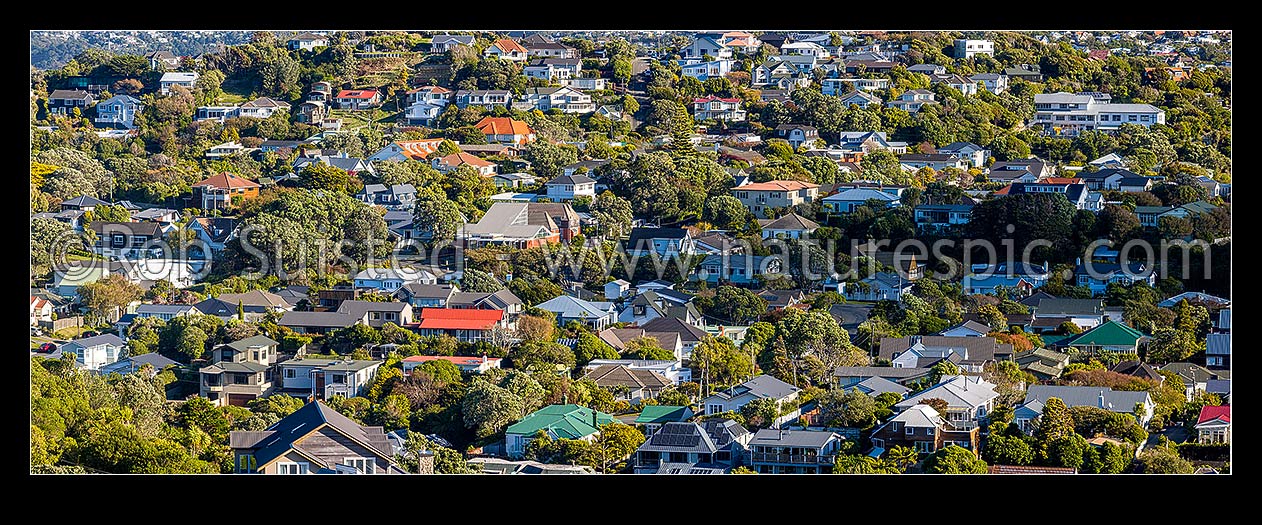 Image of Khandallah and houses, a northern leafy green suburb of Wellington. Panorama, Khandallah, Wellington City District, Wellington Region, New Zealand (NZ) stock photo image