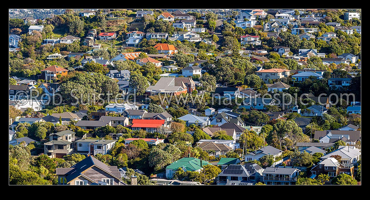 Image of Khandallah, a northern leafy green suburb of Wellington. Panorama, Khandallah, Wellington City District, Wellington Region, New Zealand (NZ) stock photo image