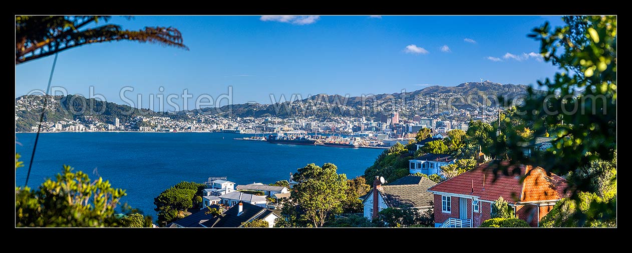 Image of Wellington City, Harbour and Port seen from Khandallah suburb amongst houses and native forest in late afternoon sun. Panorama, Khandallah, Wellington City District, Wellington Region, New Zealand (NZ) stock photo image