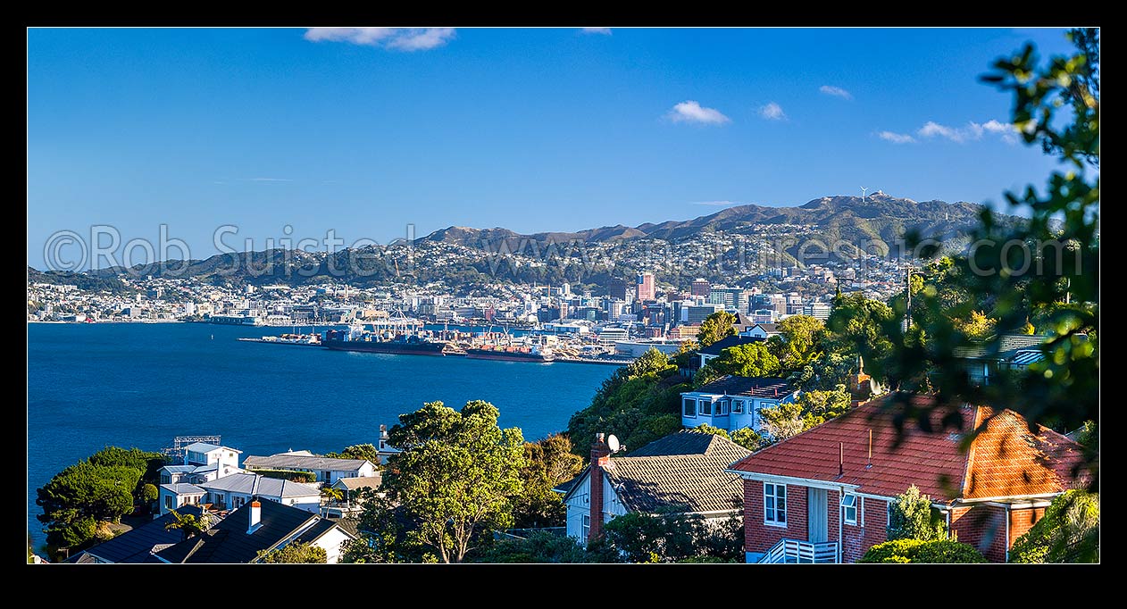 Image of Wellington City, Harbour and Port seen from Khandallah suburb amongst houses and native forest in late afternoon sun, Khandallah, Wellington City District, Wellington Region, New Zealand (NZ) stock photo image