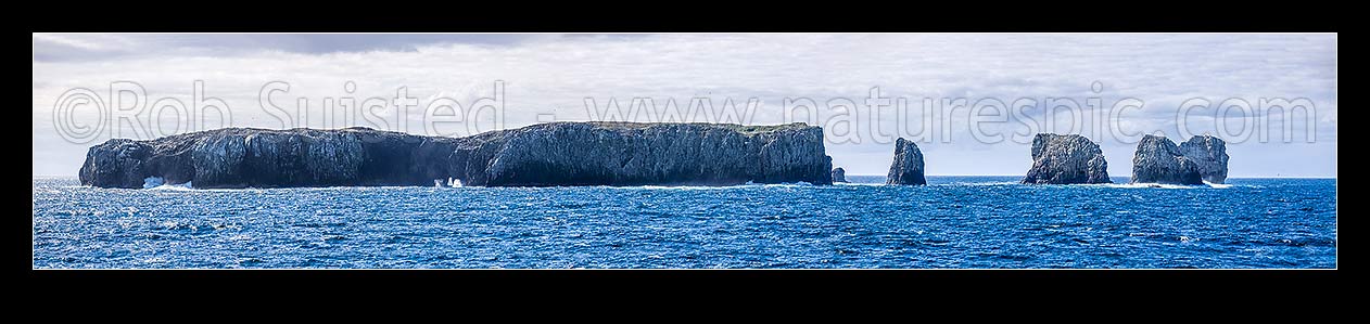 Image of The Forty-Fours Islands, Motchuhar (Moriori), and Motuhara (Maori). Most eastern land in NZ. Breeding site of Buller's and northern royal albatrosses. Approx 1 hectare. Panorama, Forty-Fours Islands, Chatham Islands District, Chatham Islands Region, New Zealand (NZ) stock photo image