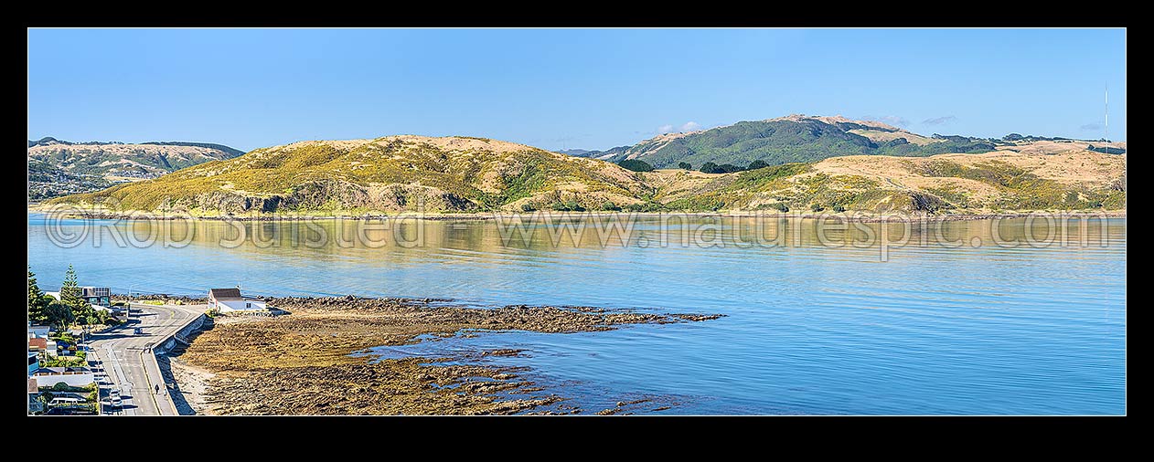 Image of Porirua Harbour entrance at Plimmerton panorama, looking south over Titahi Bay and Whitireia park to Rangituhi Colonial Knob (468m) at right, Plimmerton, Porirua City District, Wellington Region, New Zealand (NZ) stock photo image