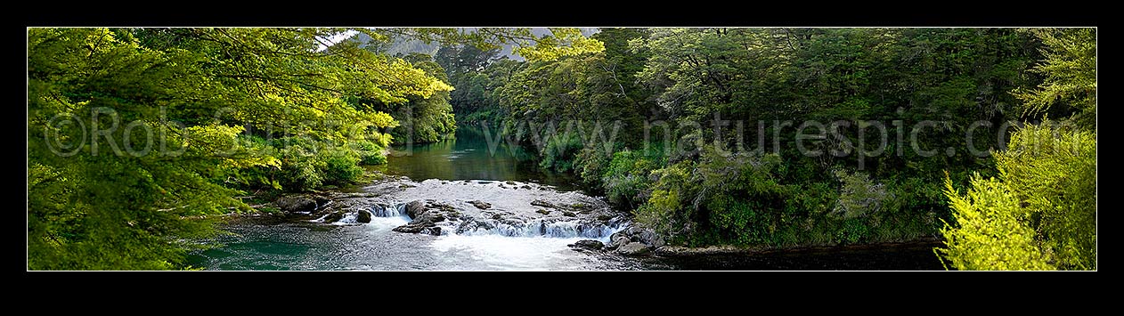 Image of Rai River cascades or falls passing through native beech forest. Panorama, Pelorus Bridge, Marlborough District, Marlborough Region, New Zealand (NZ) stock photo image