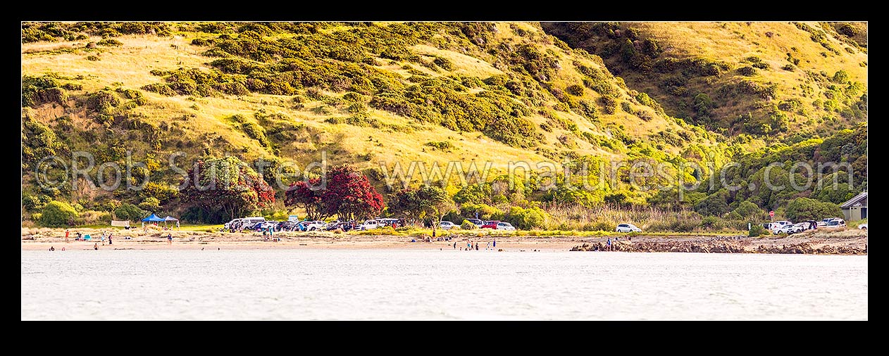 Image of Onehunga Bay summer day in Whitireia Park with people enjoying the coastal park near the entrance to Te Awarua-o-Porirua Harbour. Panorama, Titahi Bay, Porirua City District, Wellington Region, New Zealand (NZ) stock photo image