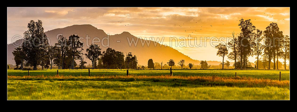 Image of Rural sunset across the Hokitika River plains near Kokatahi River. Mt Camelback (569m) behind. Lush dairy farmland. Panorama, Kokatahi, Westland District, West Coast Region, New Zealand (NZ) stock photo image