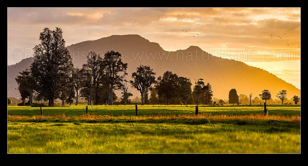 Image of Rural sunset across the Hokitika River plains near Kokatahi River. Mt Camelback (569m) behind. Lush dairy farmland. Panorama, Kokatahi, Westland District, West Coast Region, New Zealand (NZ) stock photo image