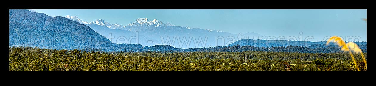 Image of Aoraki Mt Cook (3754m) and Mt Tasman (3497m) and Southern Alps Main Divide seen towering over Westland. Elie De Beaumont (3109m) and Minarets (3040m) at left. Panorama, Ross, Westland District, West Coast Region, New Zealand (NZ) stock photo image