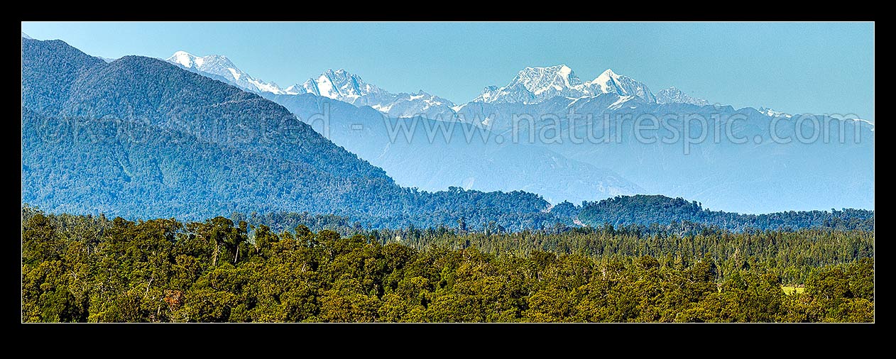 Image of Aoraki Mt Cook (3754m) and Mt Tasman (3497m) centre right and Southern Alps Main Divide towering over Westland. Elie De Beaumont (3109m) and Minarets (3040m) at left. Panorama, Ross, Westland District, West Coast Region, New Zealand (NZ) stock photo image