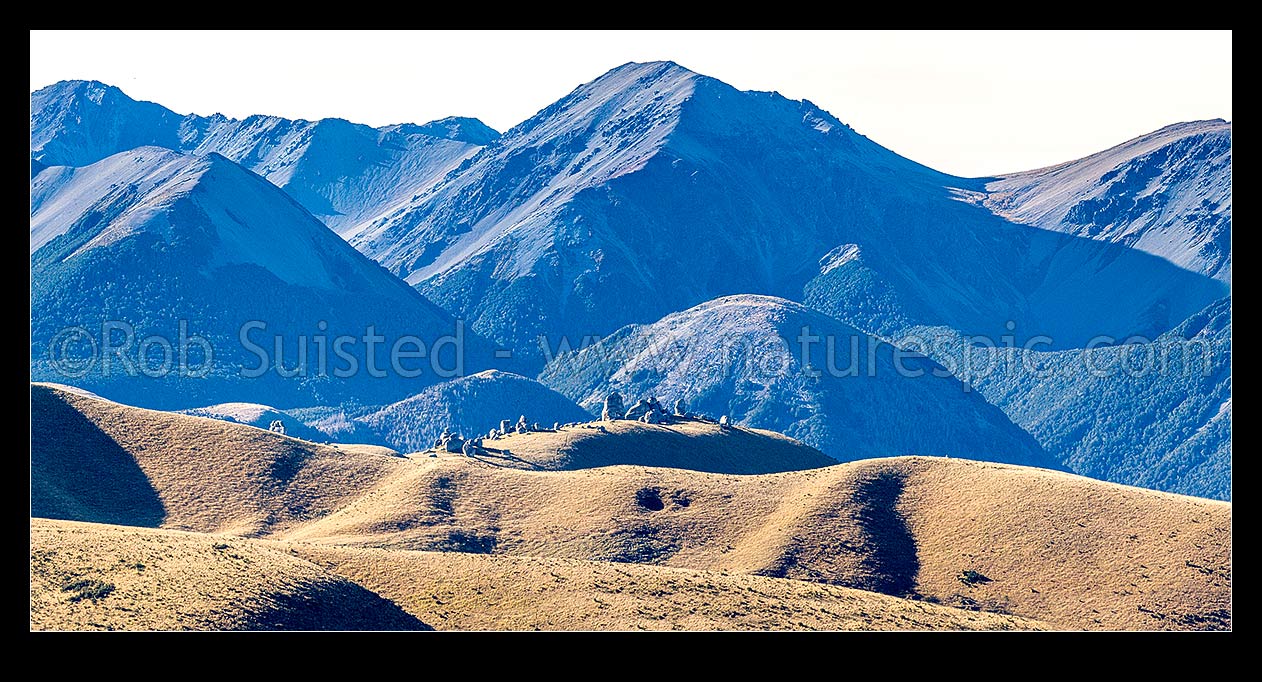 Image of Castle Hill (920m) with limestone boulders (centre left) amongst alpine landscape, with Mt Manson (1859m) in Craigieburn Range above. Panorama, Castle Hill, Selwyn District, Canterbury Region, New Zealand (NZ) stock photo image