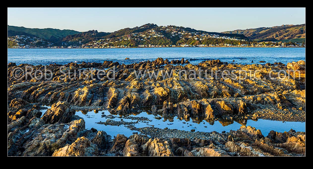 Image of Porirua Harbour entrance and Plimmerton seen from Onehunga Bay Whitireia Park. Rocky foreshore eroded wave platform showing tilted rock strata. Panorama, Titahi Bay, Porirua City District, Wellington Region, New Zealand (NZ) stock photo image