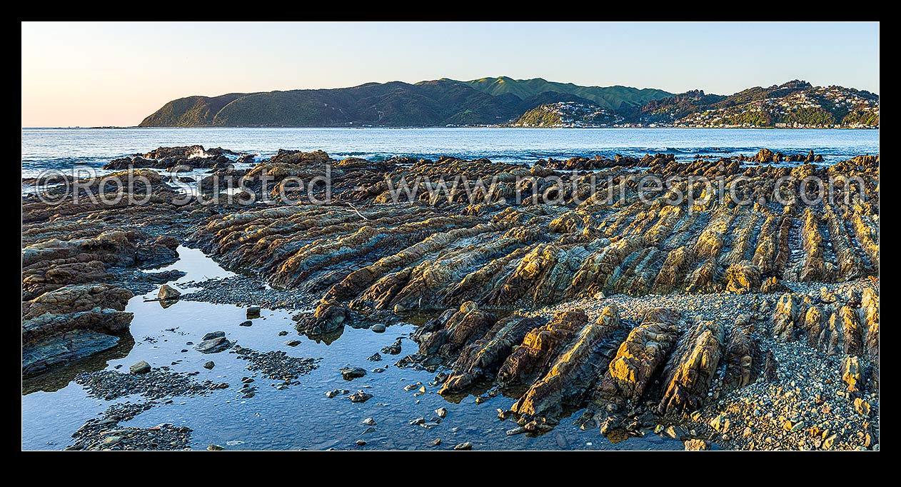 Image of Porirua Harbour entrance and Plimmerton seen from Onehunga Bay Whitireia Park. Rocky foreshore eroded wave platform showing tilted rock strata. Panorama, Titahi Bay, Porirua City District, Wellington Region, New Zealand (NZ) stock photo image