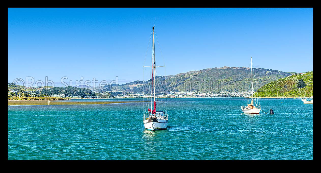 Image of Sailboats moored in Porirua Harbour at Paremata. Looking souith towards Porirua City and Rangituhi / Colonial Knob and Onepoto. Te Awarua-o-Porirua, Paremata, Porirua City District, Wellington Region, New Zealand (NZ) stock photo image