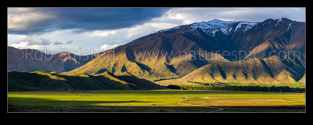 Image of Lush farmland in evening light at foot of the Benmore Peak (1894m) and Benmore Range. Panorama, Omarama, Waitaki District, Canterbury Region, New Zealand (NZ) stock photo image