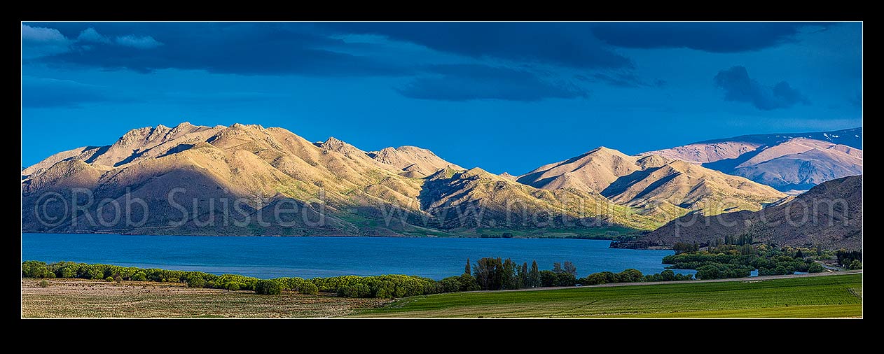 Image of Lake Benmore in evening light. St Marys Range far right. Moody panorama, Otematata, MacKenzie District, Canterbury Region, New Zealand (NZ) stock photo image