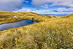 Ruahine Ranges tramping