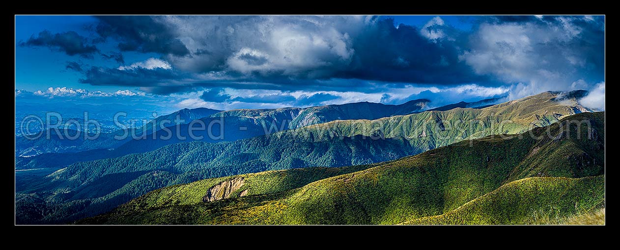 Image of Ruahine Range western ridgelines on the Whanahuia Range, in breaking weather. Hikurangi Range beyond. Alpine tussock tops and leatherwood band. Rangitikei far left. Panorama, Ruahine Forest Park, Manawatu District, Manawatu-Wanganui Region, New Zealand (NZ) stock photo image