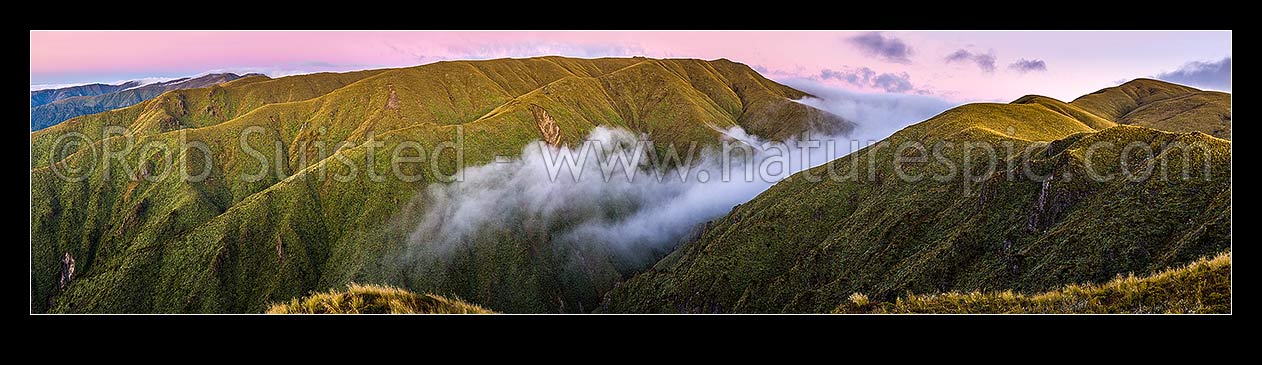 Image of Ruahine Ranges, alpine tussock tops, as cold air inversion cloud pours through the Whanahuia Range saddle at dusk. Western Ranges. Panorama, Ruahine Forest Park, Manawatu District, Manawatu-Wanganui Region, New Zealand (NZ) stock photo image