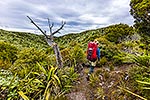 Ruahine Ranges tramping