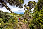 Ruahine Ranges tramping