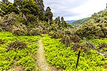 Ruahine Ranges tramping