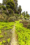 Ruahine Ranges tramping