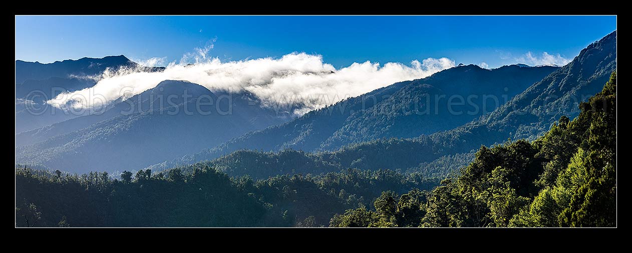 Image of Scarlett and Radiant Ranges above the Little Wanganui River and the Karamea and Mokihinui Forests. Panorama with inversion cloud topping the peaks, Little Wanganui,  Karamea, Buller District, West Coast Region, New Zealand (NZ) stock photo image