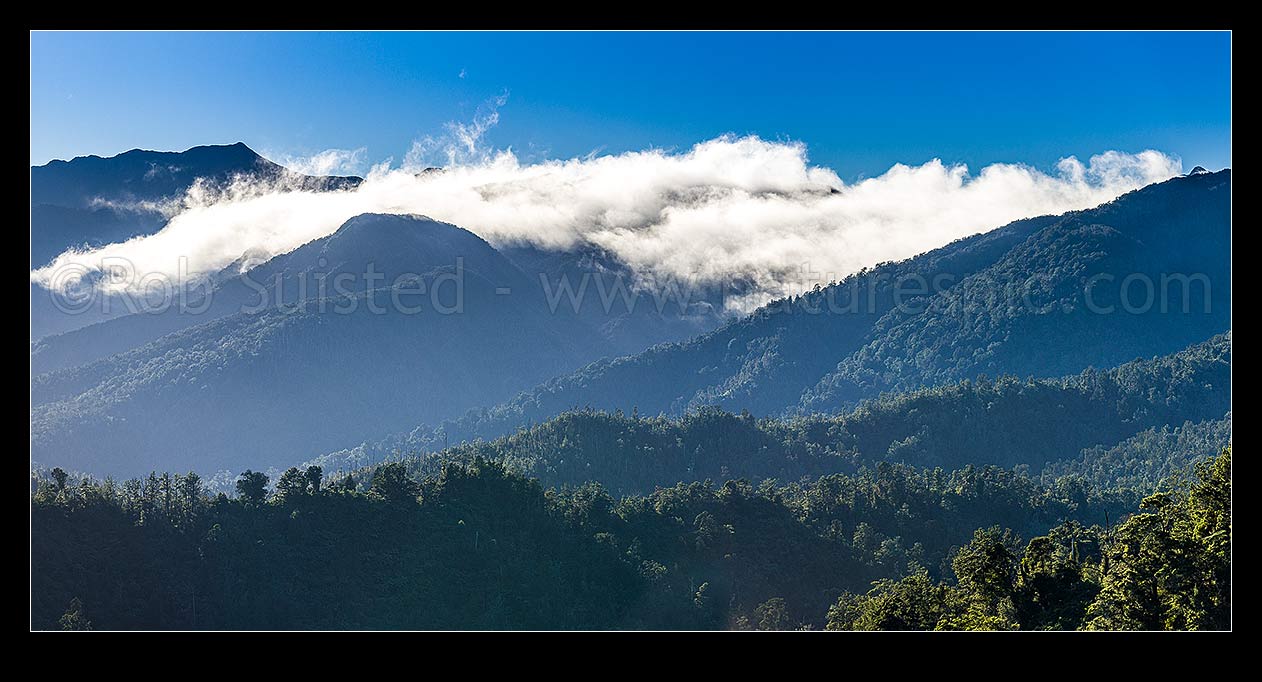 Image of Scarlett and Radiant Ranges above the Little Wanganui River and the Karamea and Mokihinui Forests. Panorama with inversion cloud topping the peaks, Little Wanganui,  Karamea, Buller District, West Coast Region, New Zealand (NZ) stock photo image