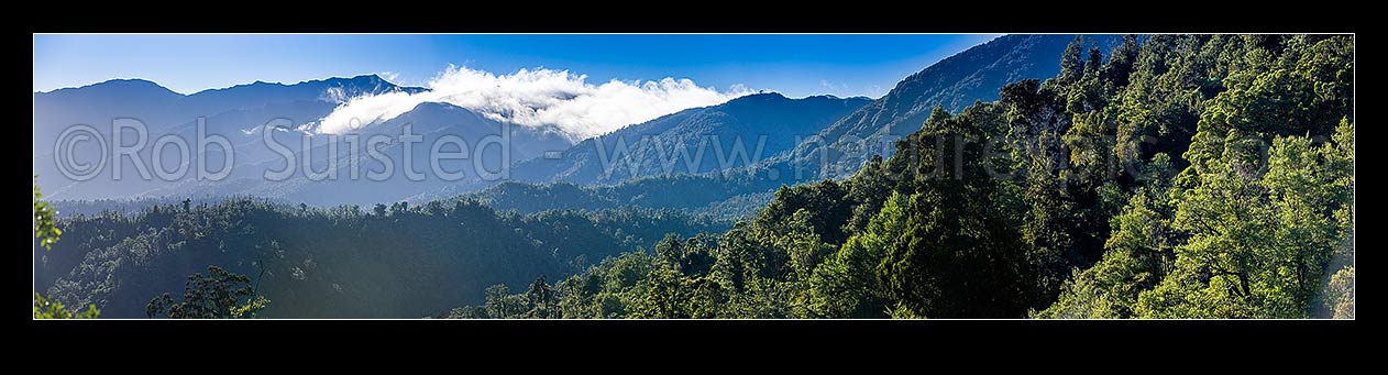 Image of Scarlett and Radiant Ranges above the Little Wanganui River and the Karamea and Mokihinui Forests. Panorama with inversion cloud topping the peaks, Little Wanganui,  Karamea, Buller District, West Coast Region, New Zealand (NZ) stock photo image