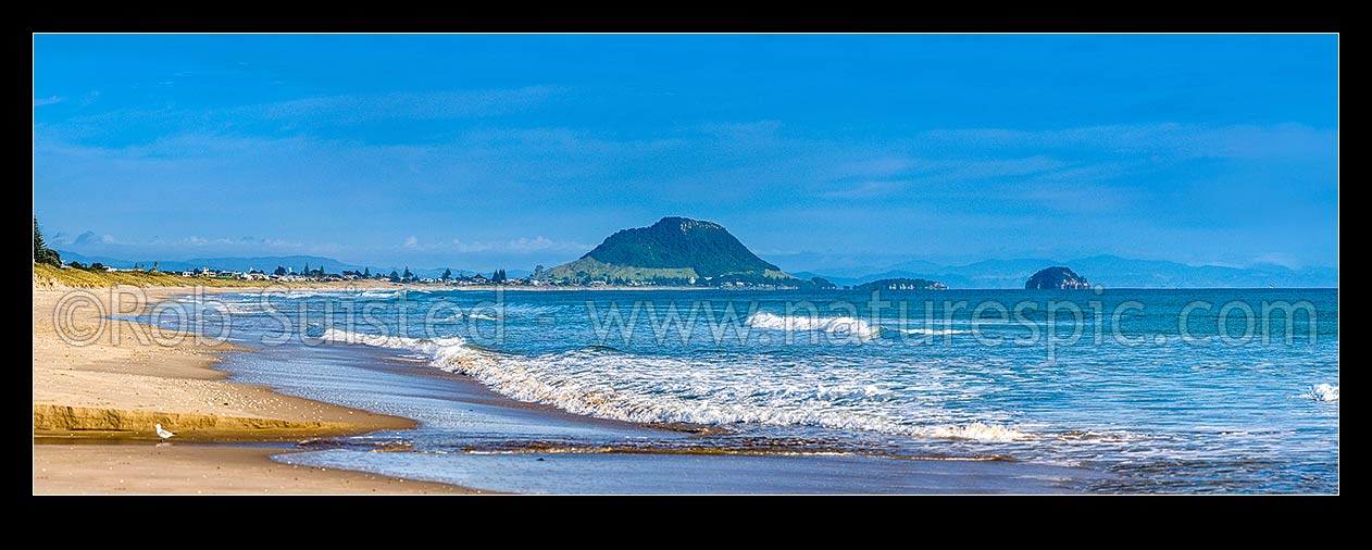 Image of Papamoa Beach panorama, looking west along the beach towards Mount Maunganui Mauao (231m) and Motuotau Island, Papamoa, Tauranga District, Bay of Plenty Region, New Zealand (NZ) stock photo image