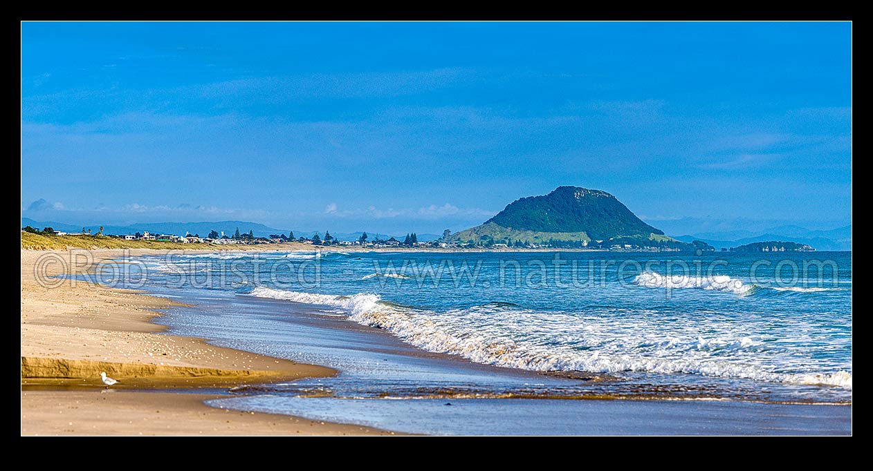 Image of Papamoa Beach panorama, looking west along the beach towards Mount Maunganui Mauao (231m), Papamoa Beach, Tauranga District, Bay of Plenty Region, New Zealand (NZ) stock photo image