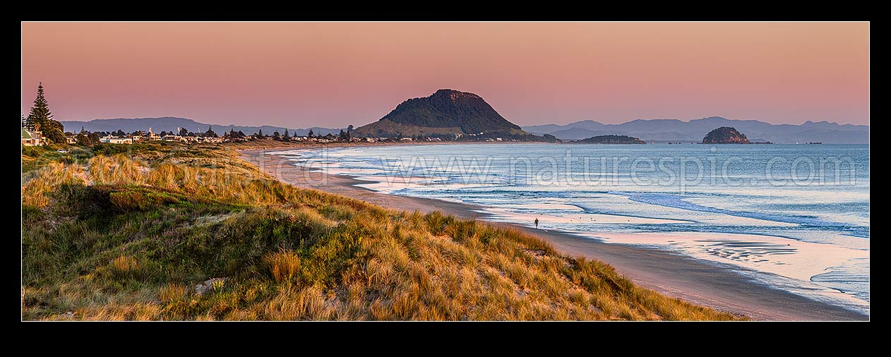 Image of Papamoa Beach at dawn amongst sand dunes, looking west in morning light towards Mt Maunganui Mauao and Motuotau Island. Panorama, Papamoa, Tauranga District, Bay of Plenty Region, New Zealand (NZ) stock photo image