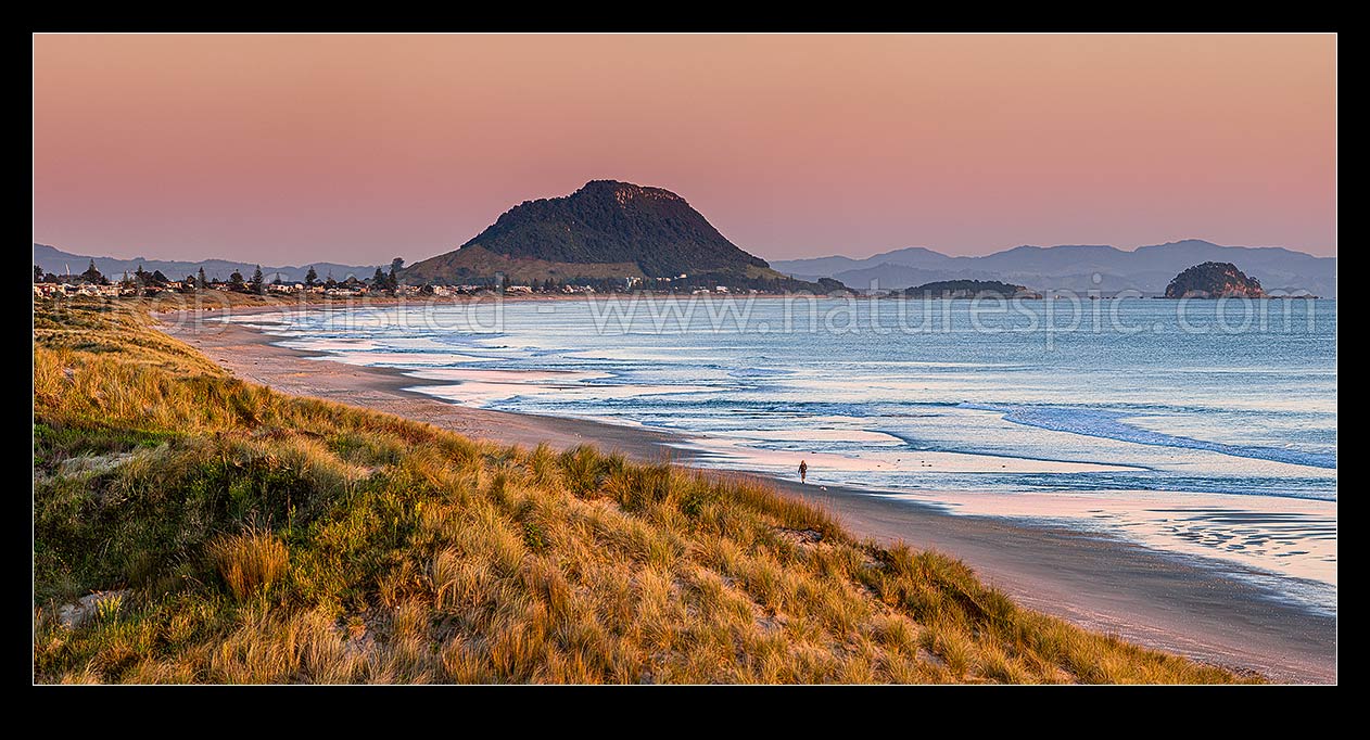 Image of Papamoa Beach at dawn, looking west in morning light towards Mt Maunganui Mauao and Motuotau Island. Panorama, Papamoa Beach, Tauranga District, Bay of Plenty Region, New Zealand (NZ) stock photo image