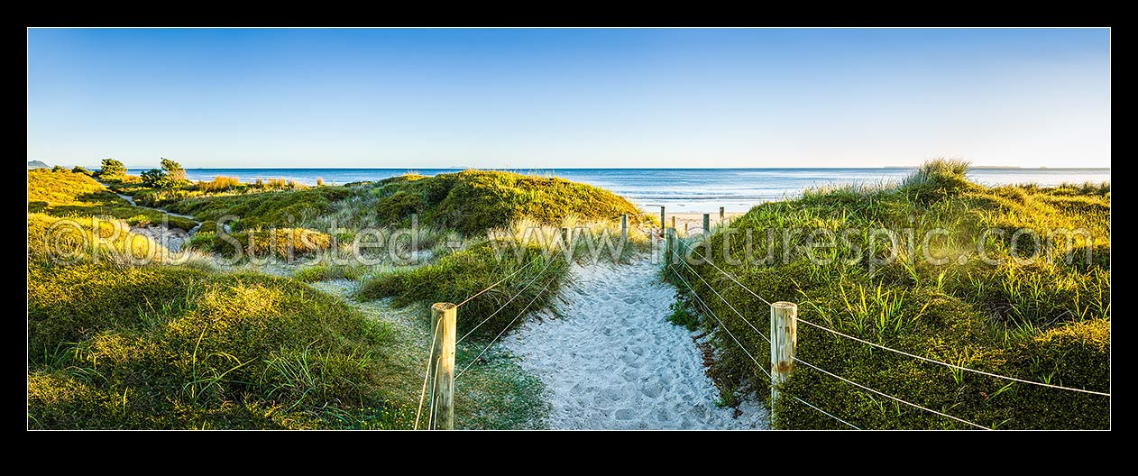 Image of Papamoa Beach at dawn, showing access walking trail through sand dunes, in morning light. Panorama, Papamoa Beach, Tauranga District, Bay of Plenty Region, New Zealand (NZ) stock photo image