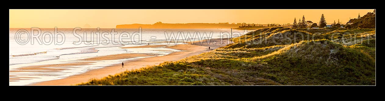 Image of Papamoa Beach sunrise panorama, looking east over sand dunes towards Okurei Point, as people take early morning exercise on beach, Papamoa Beach, Tauranga District, Bay of Plenty Region, New Zealand (NZ) stock photo image