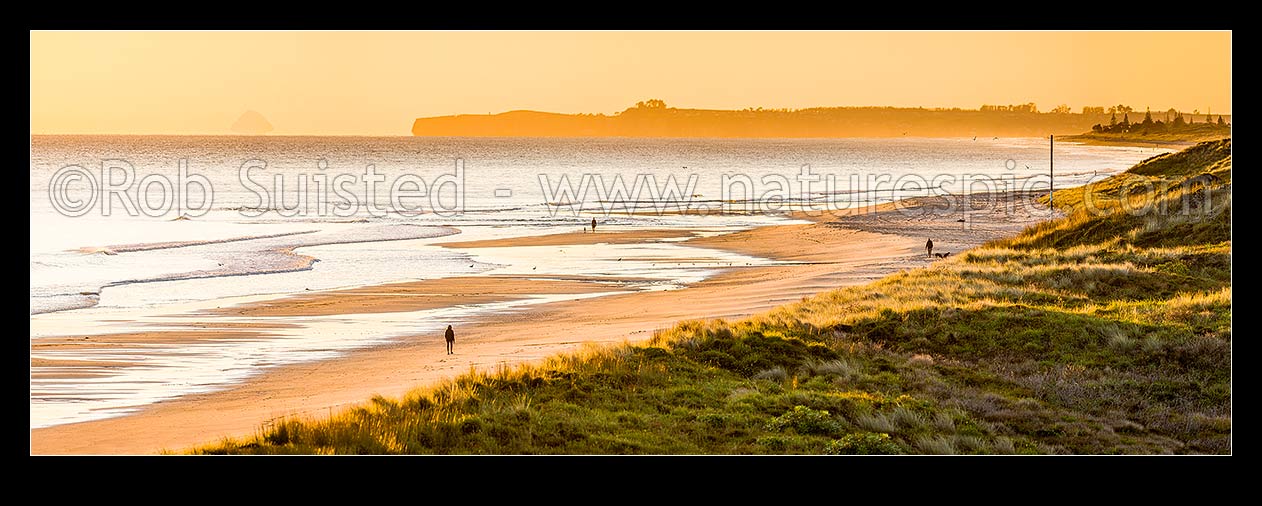 Image of Papamoa Beach sunrise panorama, looking east over sand dunes towards Okurei Point, as people take early morning exercise on beach, Papamoa Beach, Tauranga District, Bay of Plenty Region, New Zealand (NZ) stock photo image