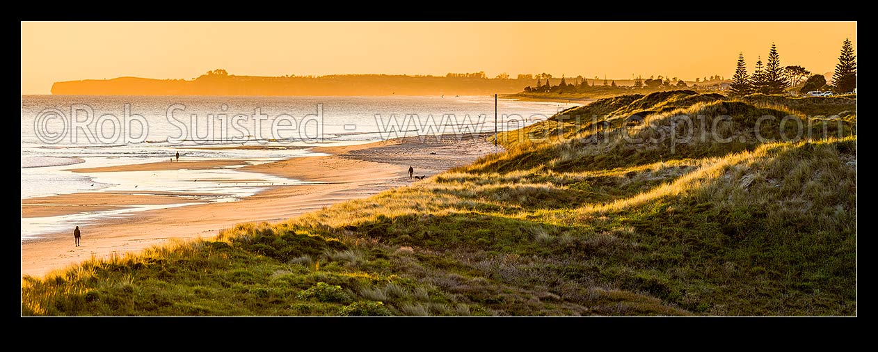 Image of Papamoa Beach sunrise panorama, looking east over sand dunes towards Okurei Point, as people take early morning exercise on beach, Papamoa Beach, Tauranga District, Bay of Plenty Region, New Zealand (NZ) stock photo image