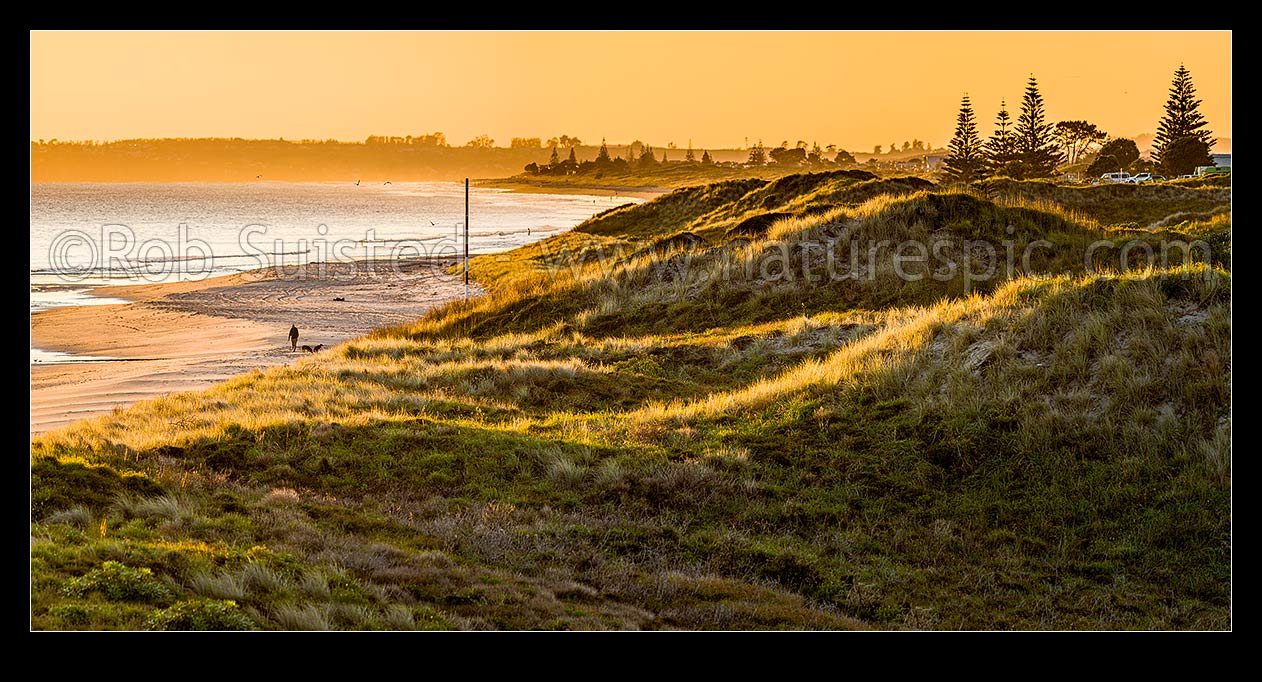 Image of Papamoa Beach sunrise panorama, looking east over sand dunes towards Okurei Point, as people take early morning exercise on beach, Papamoa Beach, Tauranga District, Bay of Plenty Region, New Zealand (NZ) stock photo image