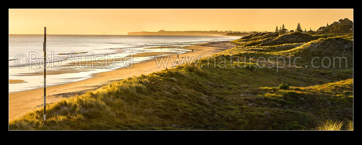 Image of Papamoa Beach sunrise panorama, looking east over sand dunes towards Okurei Point, as people take early morning exercise on beach, Papamoa Beach, Tauranga District, Bay of Plenty Region, New Zealand (NZ) stock photo image