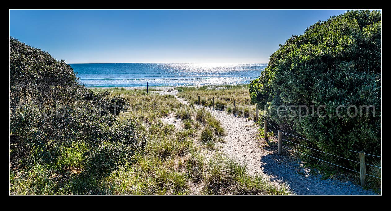 Image of Papamoa Beach and sand dunes access trail through sand dunes amongst pohutukawa trees. Panorama, Papamoa Beach, Tauranga District, Bay of Plenty Region, New Zealand (NZ) stock photo image