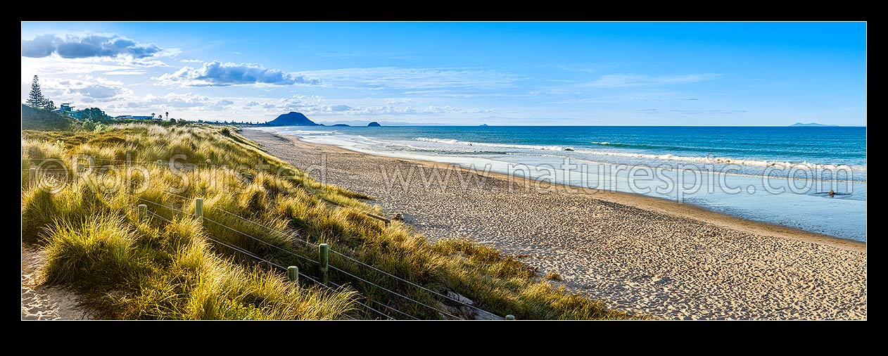 Image of Papamoa Beach and golden sand dune view in late afternoon light. Looking west towards Mt Maunganui Mauao (231m). Panorama, Papamoa Beach, Tauranga District, Bay of Plenty Region, New Zealand (NZ) stock photo image