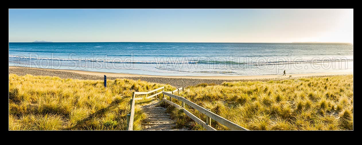 Image of Papamoa Beach and sand dunes in golden morning light. Access path to beach with person exercising with dog. Panorama, Papamoa Beach, Tauranga District, Bay of Plenty Region, New Zealand (NZ) stock photo image