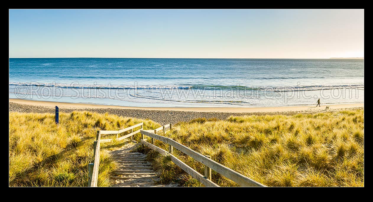 Image of Papamoa Beach and sand dunes in golden morning light. Access path to beach with person exercising with dog. Panorama, Papamoa Beach, Tauranga District, Bay of Plenty Region, New Zealand (NZ) stock photo image