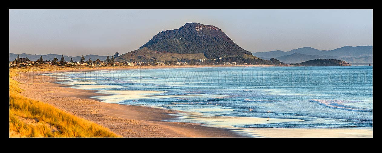 Image of Papamoa Beach in morning light, looking full length of beach to Mount Maunganui Mauao (231m). Panorama, Papamoa Beach, Tauranga District, Bay of Plenty Region, New Zealand (NZ) stock photo image