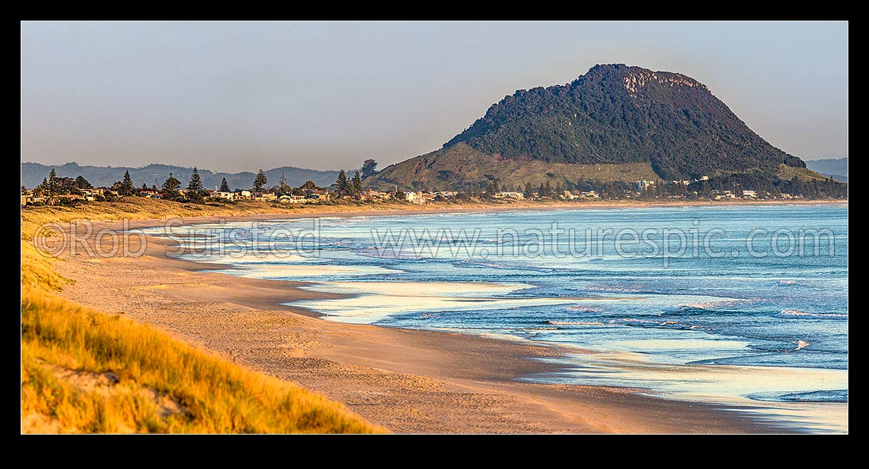 Image of Papamoa Beach in morning light, looking full length of beach to Mount Maunganui Mauao (231m). Panorama, Papamoa Beach, Tauranga District, Bay of Plenty Region, New Zealand (NZ) stock photo image