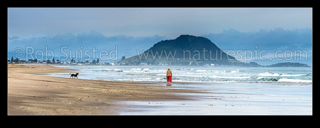 Image of Walker with dog on Papamoa Beach on a moody morning. Mount Maunganui Mauao (231m) behind. Panorama, Papamoa Beach, Tauranga District, Bay of Plenty Region, New Zealand (NZ) stock photo image