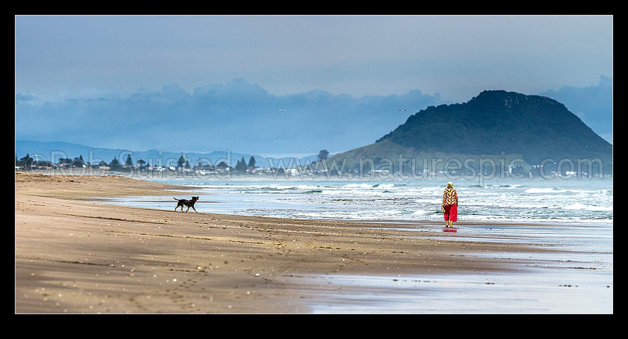 Image of Walker with dog on Papamoa Beach on a moody morning. Mount Maunganui Mauao (231m) behind. Panorama, Papamoa Beach, Tauranga District, Bay of Plenty Region, New Zealand (NZ) stock photo image