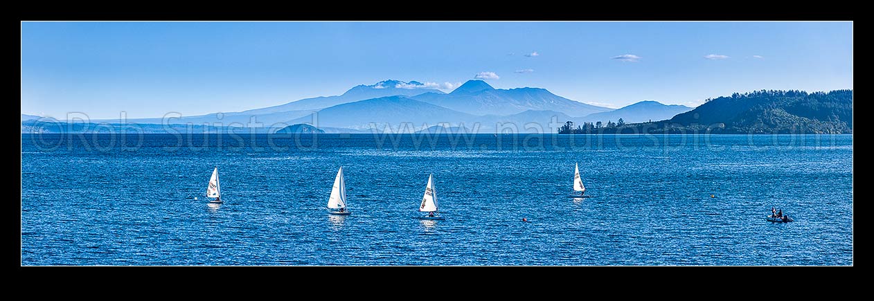 Image of Lake Taupo, looking south to volcanic central plateau, Tongariro National park and Mountains Ruapehu, Ngauruhoe and Tongariro. With small sailboats training in foreground. Panorama, Taupo, New Zealand (NZ) stock photo image