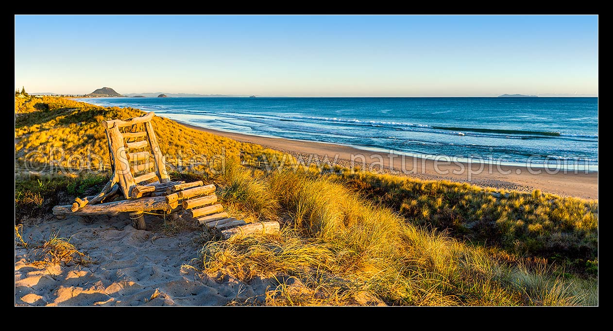 Image of Papamoa Beach early morning sand dunes with driftwood chair perched on top. Looking along beach towards Mount Maunganui Mauao (231m) beyond. Panorama, Papamoa Beach, Tauranga District, Bay of Plenty Region, New Zealand (NZ) stock photo image